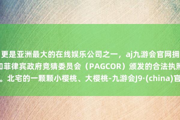 更是亚洲最大的在线娱乐公司之一，aj九游会官网拥有欧洲马耳他（MGA）和菲律宾政府竞猜委员会（PAGCOR）颁发的合法执照。北宅的一颗颗小樱桃、大樱桃-九游会J9·(china)官方网站-真人游戏第一品牌